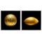 Stupell Industries Golden Designer Sports Balls 2pc Floater Framed Canvas Wall Art Set Design by Graffi*tee Studios